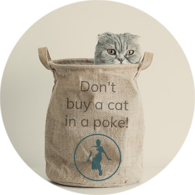 Kontaktformular Demozugang Katze im Sack